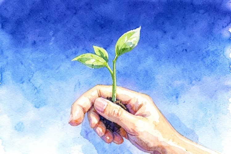 Uma mão segurando uma pequena planta que está crescendo, simbolizando desenvolvimento pessoal, com um fundo de céu azul.